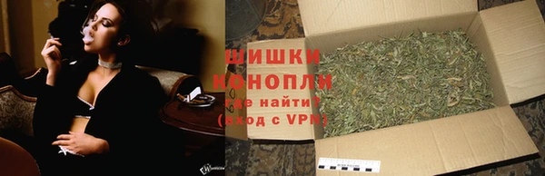 дживик Аркадак