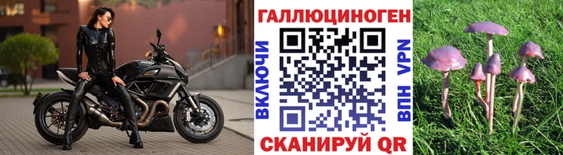 мориарти состав  Камызяк  Галлюциногенные грибы ЛСД 
